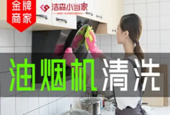 保洁、窗帘沙发地毯清洗，专业家电清洗家电清洗提供冰箱清洗